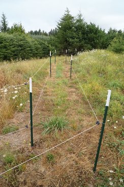 Electric Deer Fence Srn, Will Electric Fence Keep Deer Out Of Your Garden
